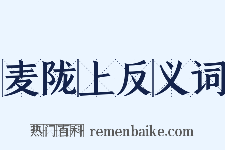 麦陇上反义词是什么意思的图片
